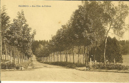 Delcampe - CP De ASSENOIS " Une Allée Du Château  " Léglise  . - Léglise