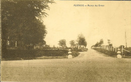Delcampe - CP De ASSENOIS " Avenue Des Ormes  " Léglise  . - Léglise