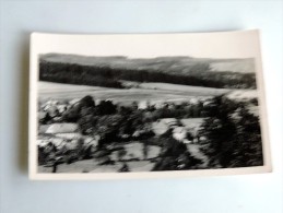 Carte Postale Ancienne : ERLAU THUR, WALD - Hildburghausen