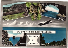 Delcampe - S5453  CARTOLINA ACQUARELLATA TRAPANI SOUVENIR DI PANTELLERIA VEDUTINE - Trapani