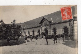 Delcampe - SAINT-LO LE HARAS QUELQUES ETALONS - Saint Lo
