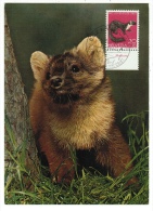 Delcampe - Suisse /Schweiz/Svizzera/Switzerland/ Carte Maximum La Martre - Maximumkarten (MC)