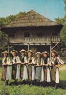 Delcampe - CPM Roumanie, Danseuses De Capilna - Tänze