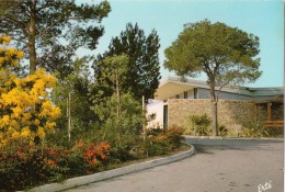 Delcampe - CP - LE PRADET (83) - L'entrée Du Village De Vacances Pour Familles - Le Pradet