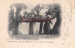Delcampe - 83 - DRAGUIGNAN - Dolmen Druidique - La Pierre De La Fée - 1902 - 4 Scans - Draguignan