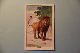 Delcampe - LION - Animaux
