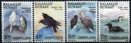 GROENLAND Oiseaux, Rapaces, Birds, Vögel, Yvert  N° 169/72 ** Neuf Sans Charniere - Águilas & Aves De Presa