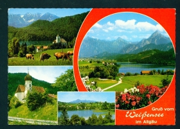 Delcampe - GERMANY  -  Weissensee Im Allgau  Multi View  Used Postcard As Scans - Füssen