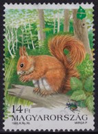 Delcampe - Squirrel - 1995 Hungary - Used - Nager