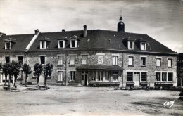 61 - PUTANGES - L'Hôtel Du Lion Vert - CPSM - Putanges