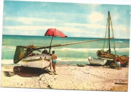 Delcampe - K3594 Riviera Adriatica - Tipiche Imbarcazioni Da Pesca / Non Viaggiata - Fischerei