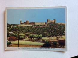 Delcampe - Castiglione Della Pescaia Il Castello Con Le Sue Mura Di Cinta Non Viaggiata F.g. - Grosseto