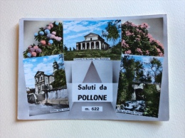 Delcampe - Saluti Da Pollone Viaggiata F.g. - Biella