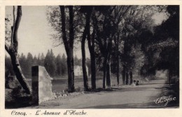 Delcampe - CROCQ  -  L' Avenue Hurbe - Crocq
