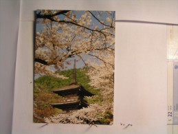 Delcampe - Kyoto - Le Temple De Kiyomizu - Kyoto