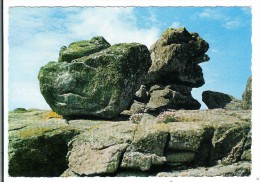 Delcampe - ILE DE SEIN - Curieux Rocher Le Sphinx ( MEGALITHE ) - Ile De Sein