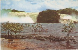 Delcampe - POSTAL DEL SALTO DE LOS MOROCHOS EN CANAIMA (VENEZUELA) (TOMAS A. HERRERO) - Venezuela