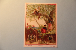Delcampe - Image Publicitaire - L'Huile D'Olive, Oliviers. - Autres & Non Classés