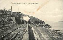 Delcampe - Depts Div - Loire Atlantique -ref AA250-le Cellier - Tunnel Train Ligne De Chemin De Fer -tunnel De La Saulzaie  - - Le Cellier