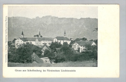 Delcampe - AK Liechtenstein Schellenberg 1920~ Fotokarte - Liechtenstein