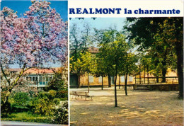 Delcampe - REALMONT LA CHARMANTE - Realmont