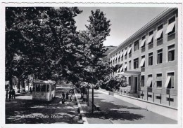 Delcampe - Cpsm AVELLINO Viale Platani - Avellino