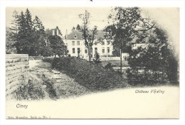 Delcampe - CPA - CINEY - Château D' HALLOY  // - Ciney