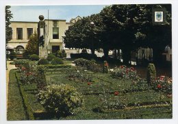 Delcampe - OLIVEIRA DE AZEMEIS - Jardim Publico  (2 Scans) - Aveiro
