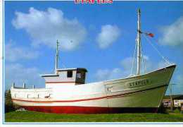 Delcampe - 62 ETAPLES La Stapula Ancien Chalutier - Etaples