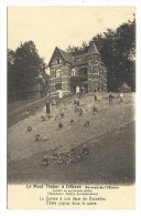 Delcampe - CPA - DILBEEK - Le Mont Thabor  // - Dilbeek