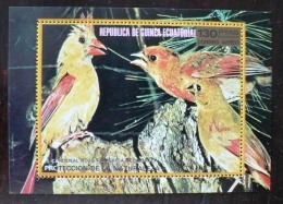 GUINEE EQUATORIALE Oiseaux, Rapaces, Birds, Vögel, CARDINAL ROUGE** Neuf Sans Charniere  MNH - Other & Unclassified