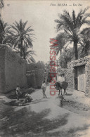 Delcampe - ALGERIE - BISKRA - Une Rue  - Ane Baudet - Dos Vierge -  2 Photos - Biskra