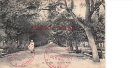 Delcampe - ALGERIE - BISKRA - Le Jardin Public - Tampon - 1919 -  2 Photos - Biskra