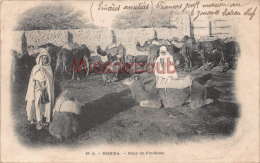 Delcampe - ALGERIE - BISKRA - Dans Le Fondouk - Chameaux - Dos Précurseur - 1904 -   2 Photos - Biskra