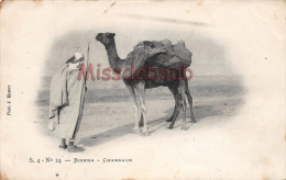 Delcampe - ALGERIE - BISKRA - Chameaux  - 1903- Dos Précurseur -  2 Photos - Biskra