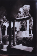 Delcampe - FREJUS - Frejus