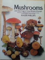 172  Mushrooms And Other Fungi Of Great Britain & Europe - CHAMPIGNONS The Most Comprehensively Illustrated Book On The - Agricultura