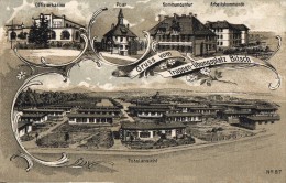 Delcampe - BITSCH - TOTALANSICHT    Carte Allemande - Bitche