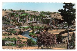 Delcampe - CPA - LANGEAC - L'ALLIER DANS LES ROCHERS DU CHAMBON - Colorisée - Ann 50 - - Langeac