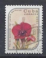 Cuba  1986  Exotic Flowers 8c  (o) - Used Stamps