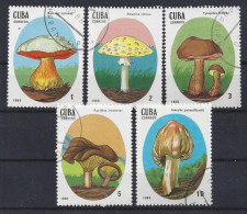 Cuba  1988  Mushrooms  (o) - Used Stamps