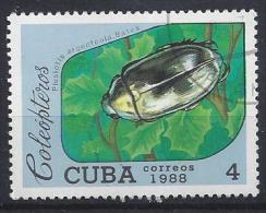 Cuba  1988  Beetles 4c  (o) - Used Stamps