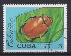 Cuba  1988  Beetles 5c  (o) - Used Stamps