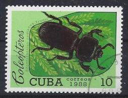Cuba  1988  Beetles 10c  (o) - Used Stamps