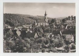 Delcampe - Hartenstein-Ortsansicht - Hartenstein