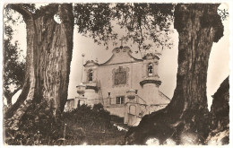 Delcampe - Montemor-o-Novo - Igreja De Nossa Senhora Da Visitação. Évora. - Evora