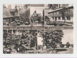 Delcampe - Forst-Rosengarten - Forst