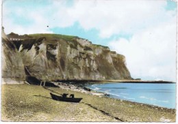 Delcampe - Cpm  BERNEVAL SUR MER LES FALAISES D AVAL - Berneval