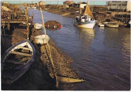 Delcampe - Cpm LA TREMBLADE Le Chenal - La Tremblade