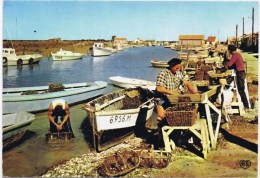 Delcampe - Cpm Parc A Moules LE TRIAGE - Fischerei